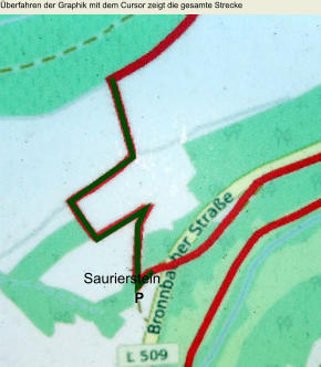 Überfahren der Graphik mit dem Cursor zeigt die gesamte Strecke Saurierstein  P